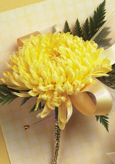 1185 Ц9960 - Салон цветов Цветы в Магнитогорске